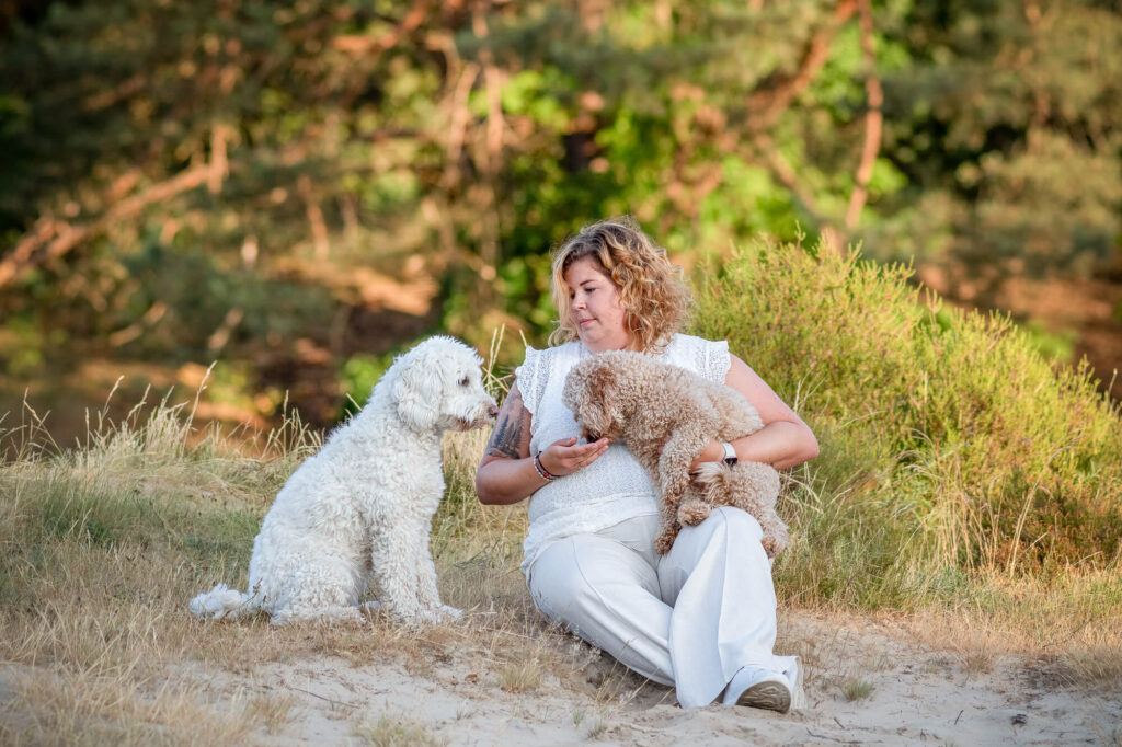 Portret Goldendoodle en Poedel
