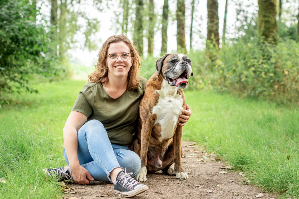 Hondenportret van een Boxer hond In het IJsselsteinse Bos