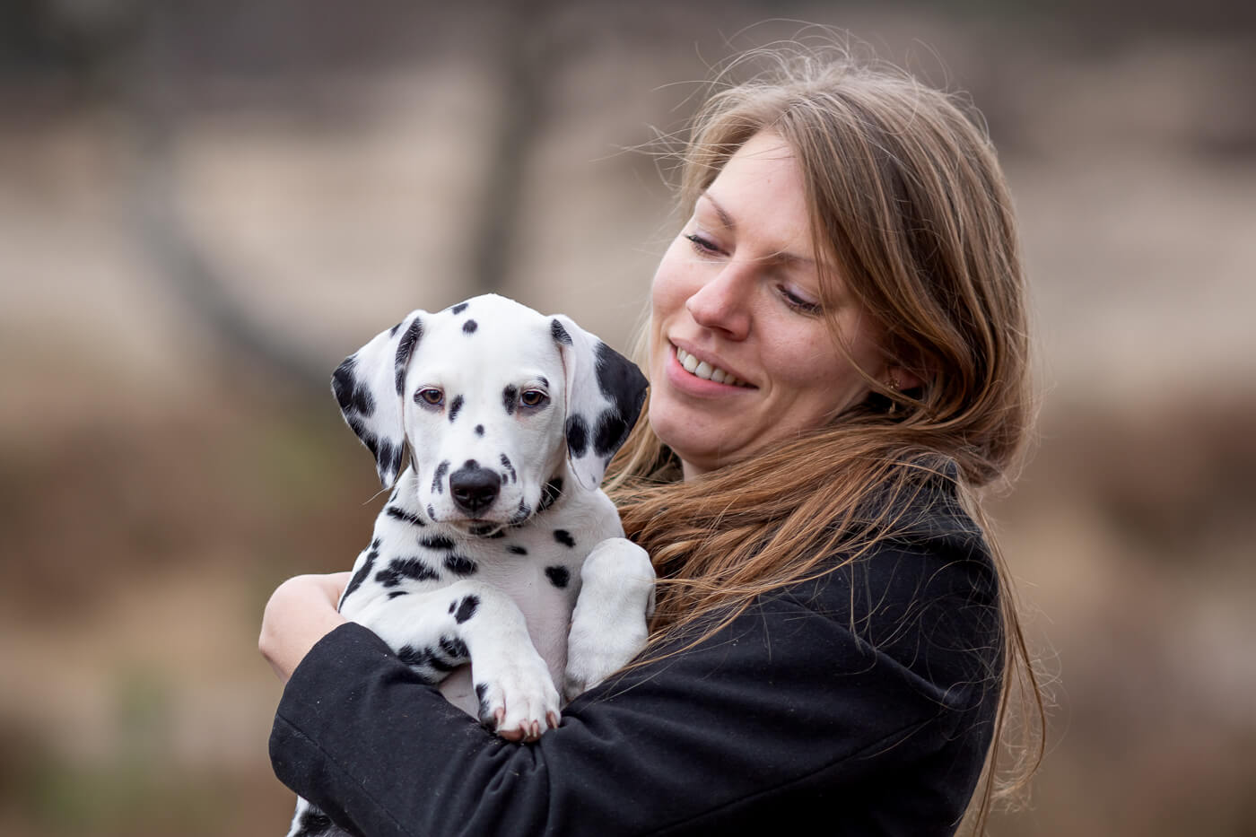 efficiëntie Ongewijzigd Oude man Fotoshoot Dalmatier hond puppy