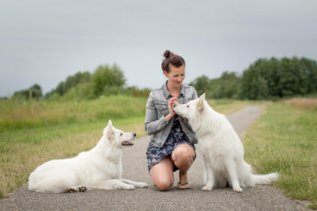 Hondenportret van een Witte herdershond Praktijk voor hondengedrag
