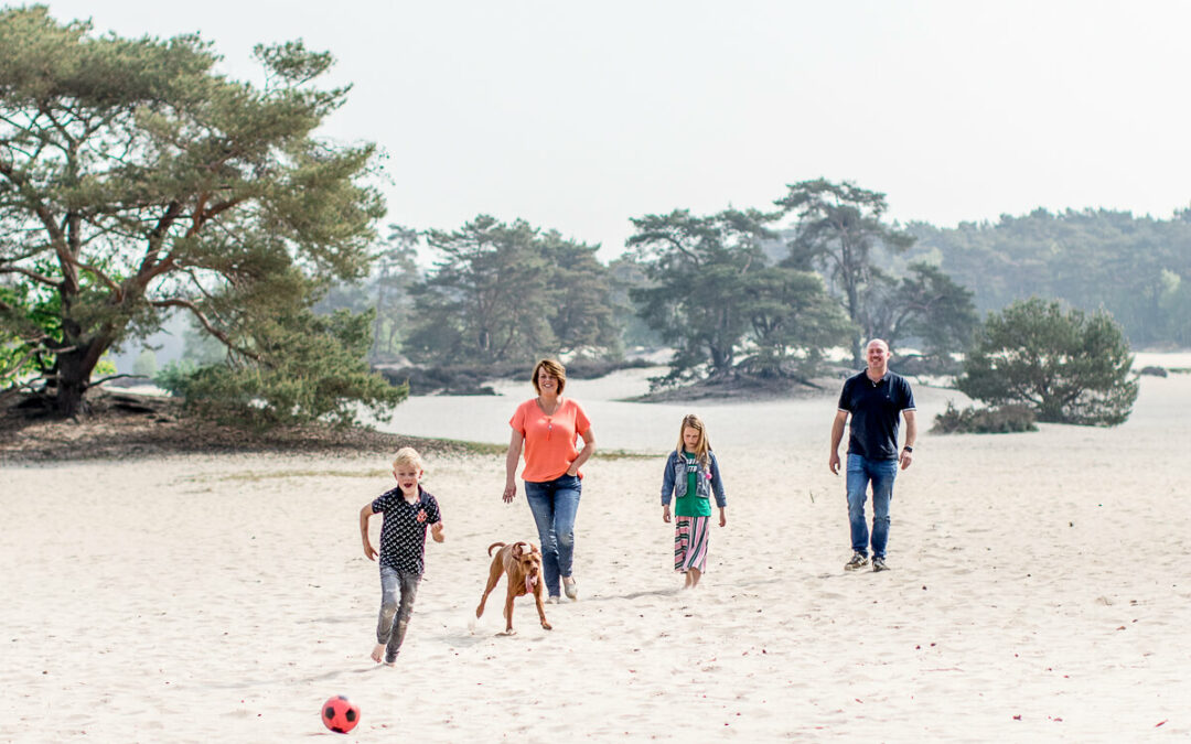 Hondenfotografie otoshoot Viszla hond Soesterduinen