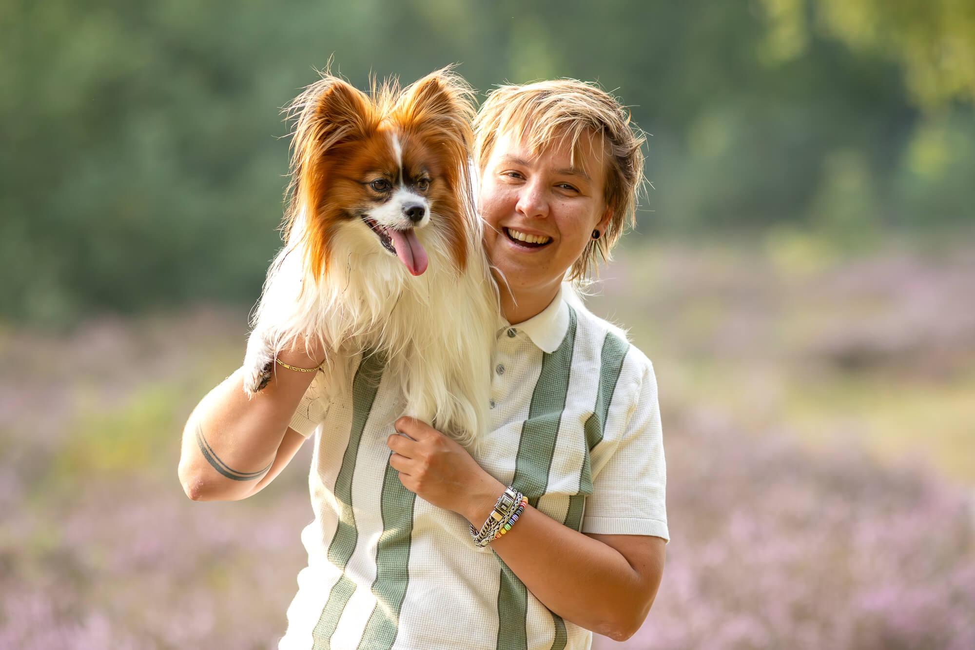 Fotoshoot met Vlinderhondje Frenkie Hoorneboegse heide