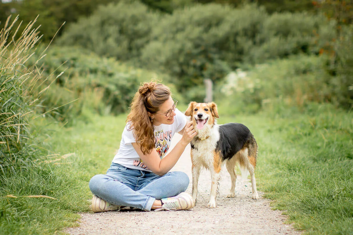 Fotoshoot-met-je-hond-hondenfotograaf-Border-Collie-Sheltie-Reeuwijkse-Hout-0220-2 (1)