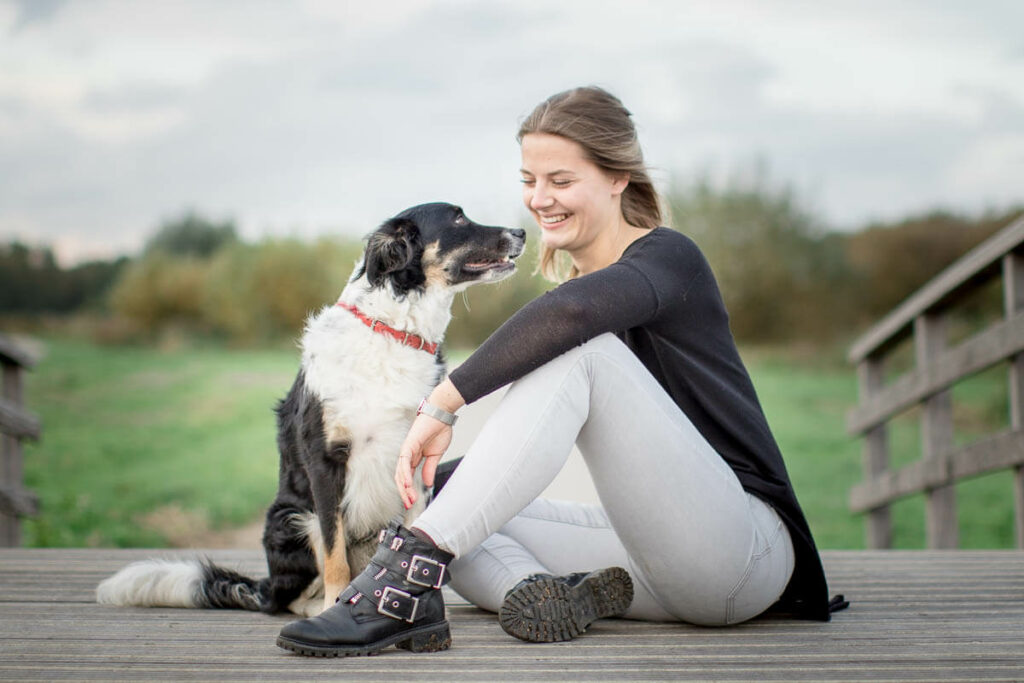 Hondenportret van een Border Collie hond in het Reeuwijkse Hout