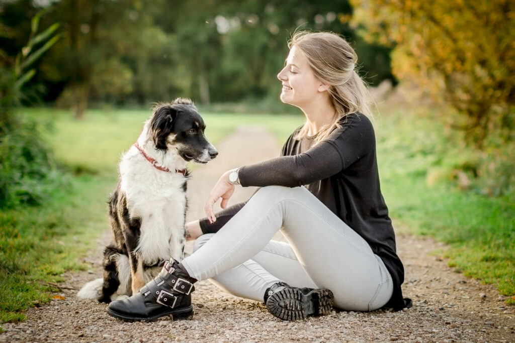 Hondenportret van een Border Collie hond in het Reeuwijkse Hout
