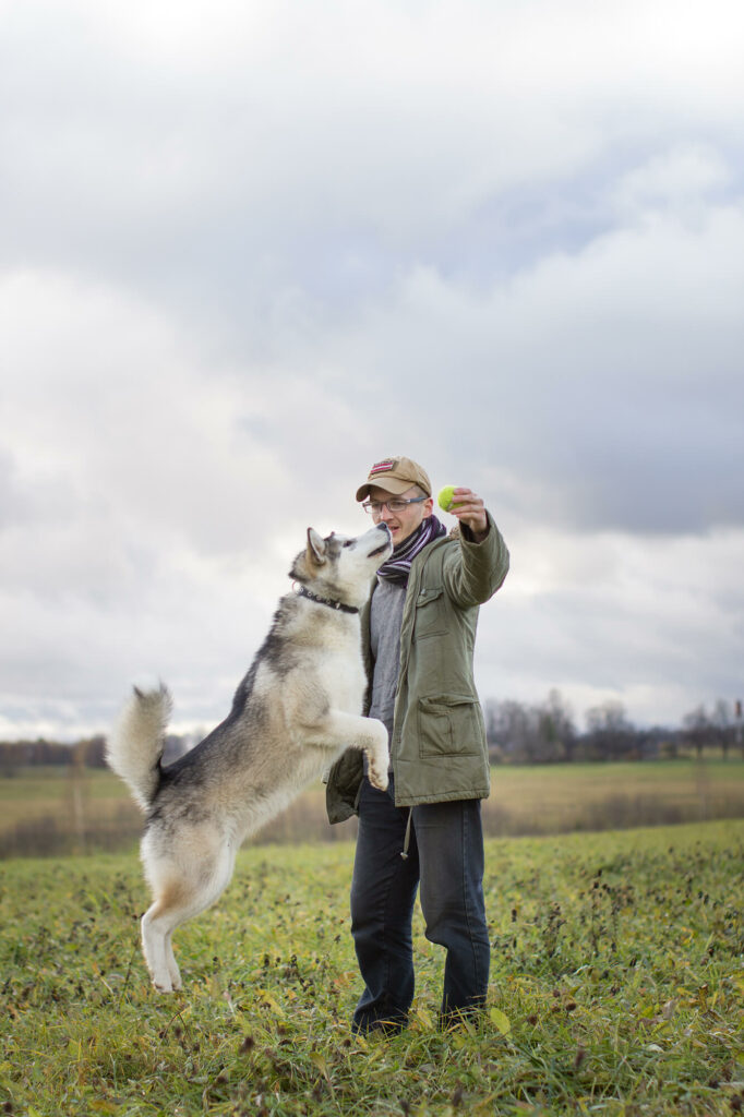 Hondenportret van een Alaska Malamute hond fotolocatie Letland