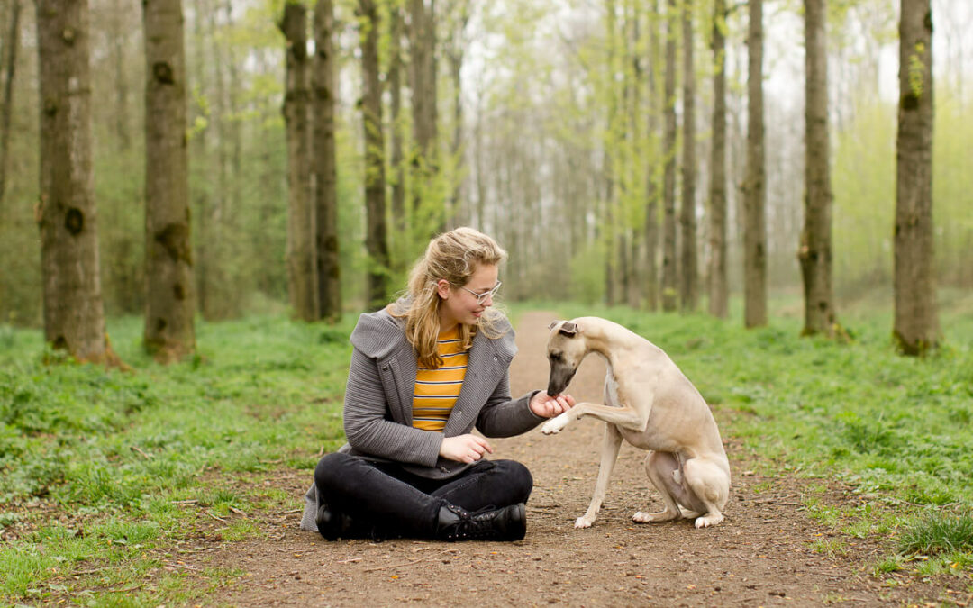 Gijs de Whippet hond in het Alblasserbos