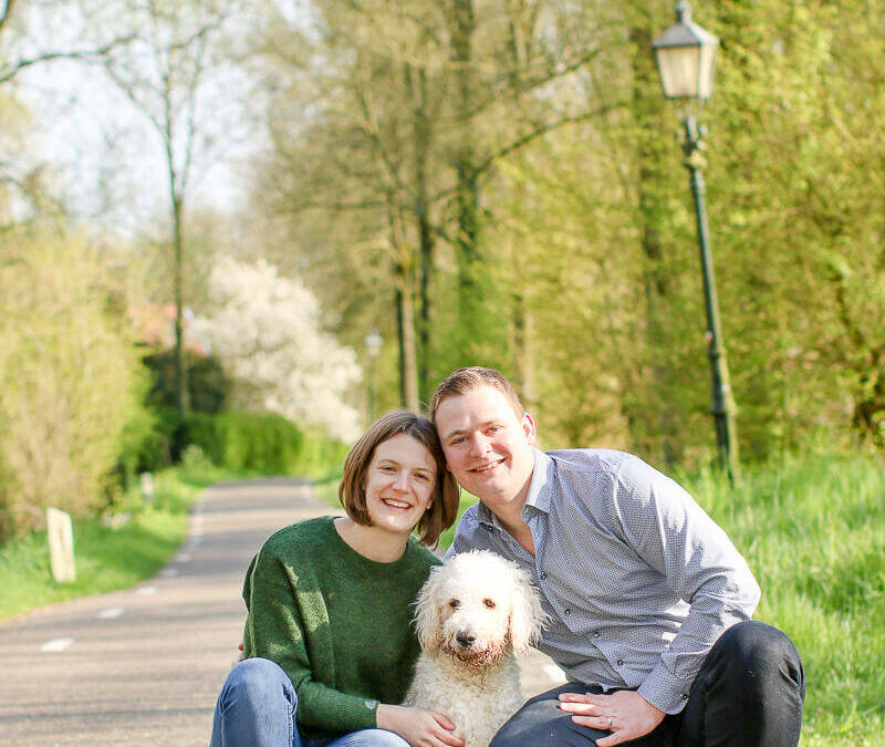 Hondenfotografie Fotoshoot labradoodle hond linschoten